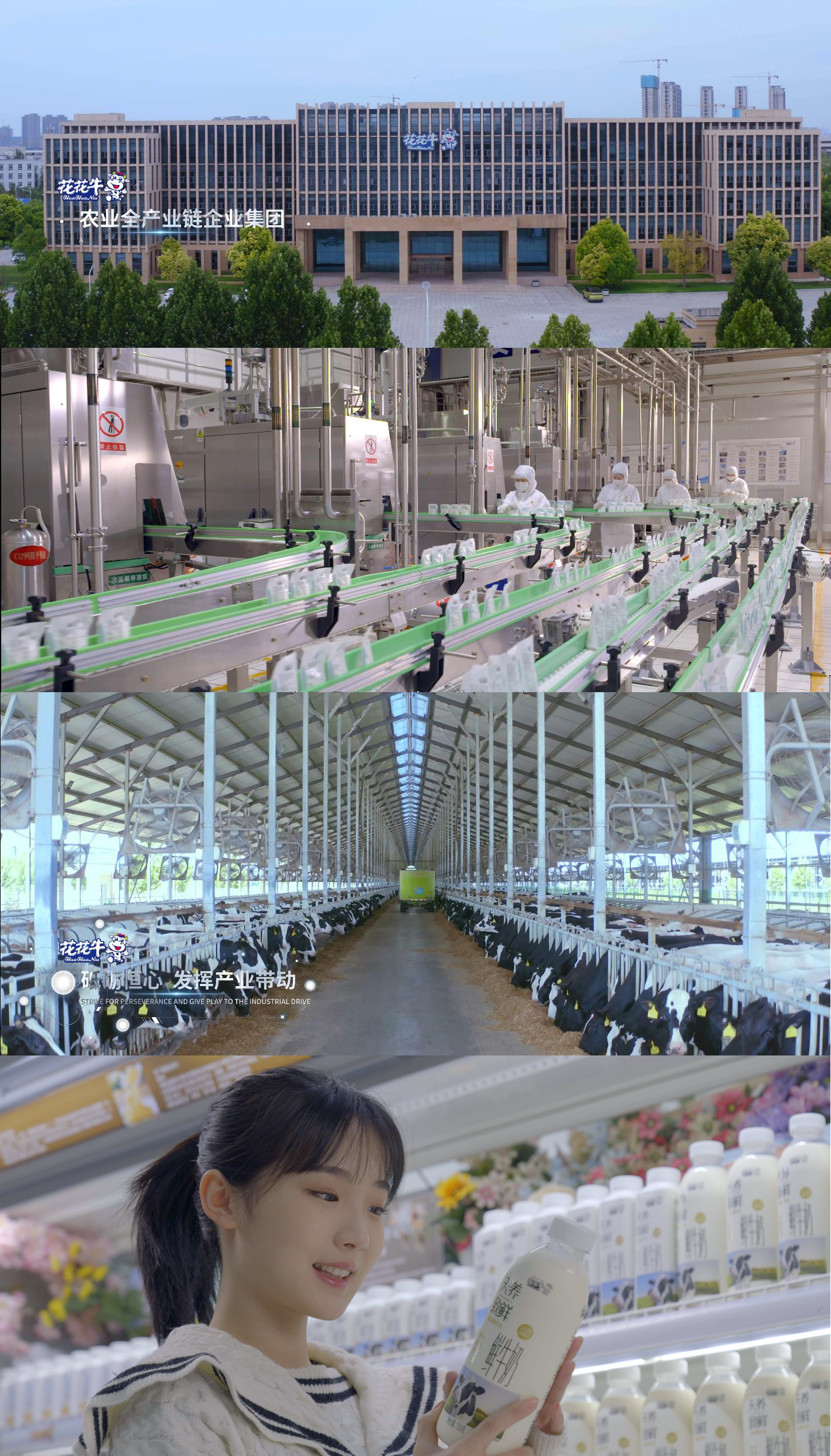 快訊 | 沈陽市政府副市長鄭濱一行蒞臨花花牛乳業集團考察 快訊 | 沈陽市政府副市長鄭濱一行蒞臨花花牛乳業集團考察