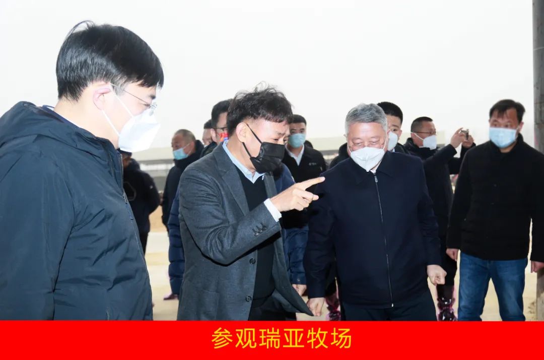 新年開新局 合作促發展丨佳木斯市委常委、副市長閆志剛一行蒞臨花花牛乳業集團及佳田企業考察座談