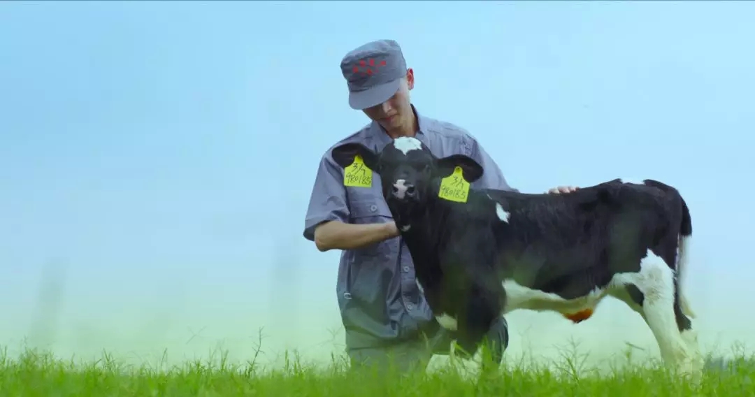 河南省人大常委會黨組書記、副主任孔昌生蒞臨花花牛魯山瑞亞牧場參觀調研