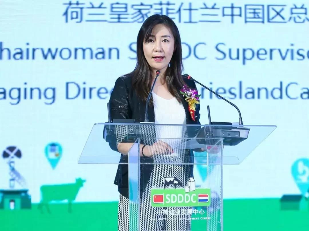 SDDDC走進河南，看看花花牛的國際范兒！