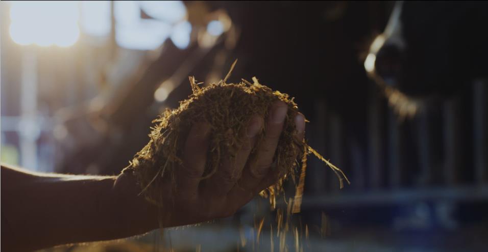 又雙叒叕獲獎啦！花花牛榮獲“乳品質量安全管理 優秀企業”