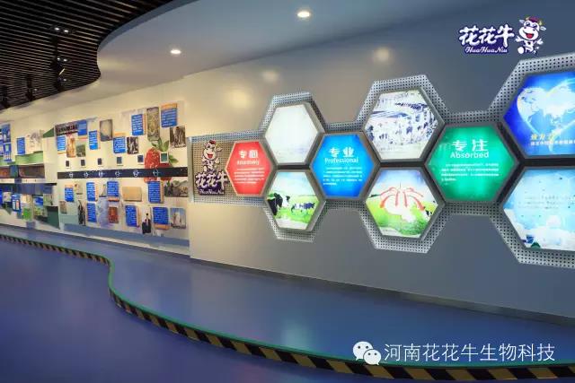 花花牛：務實、創新領潮市場 大企業體現大擔當